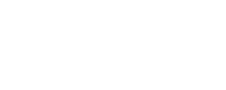 Dynamic Network Intelligence