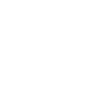 Dynamic Network Intelligence
